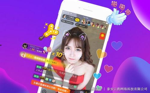 仙游今天爆料视频直播,今日热点事件深度解析