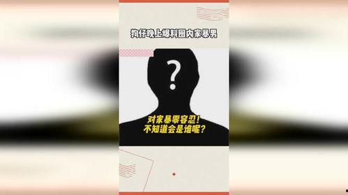 狗仔晚上爆料娱乐圈家暴,真相与反思  第3张