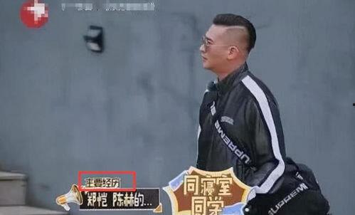 郑恺爆料杜江两娃视频播放,视频播放引发网友热议