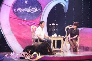 北京文艺频道在线观看,在线观看,尽享艺术盛宴 第3张 北京文艺频道在线观看,在线观看,尽享艺术盛宴 第3张